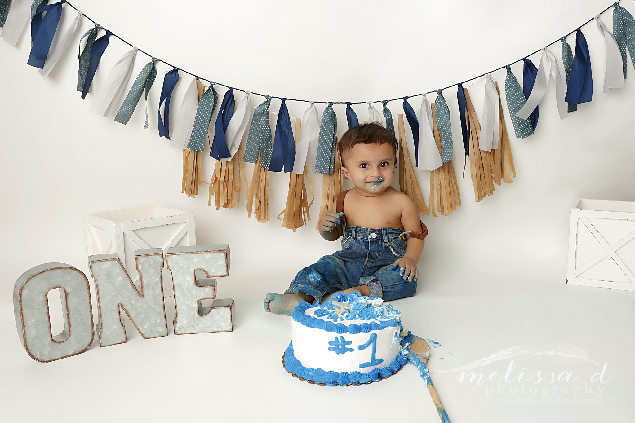Dallas Cake Smash Photographer blue banner