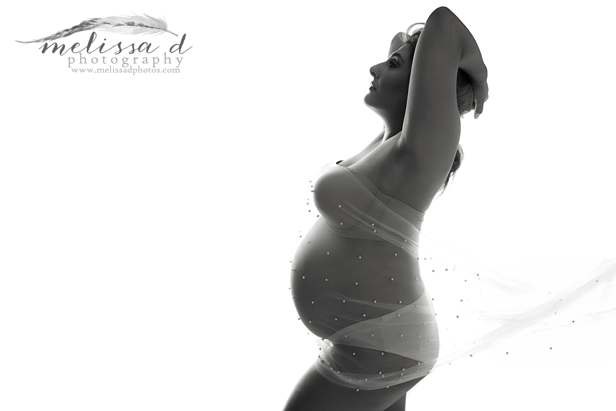 Keller Maternity Photographer silhouette pearled sheer fabric